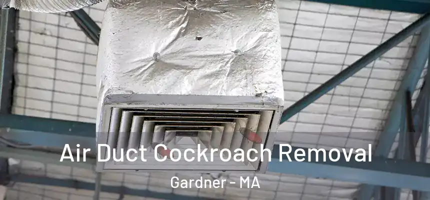 Air Duct Cockroach Removal Gardner - MA