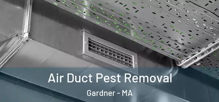 Air Duct Pest Removal Gardner - MA