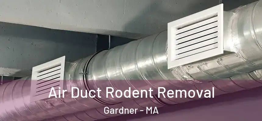  Air Duct Rodent Removal Gardner - MA
