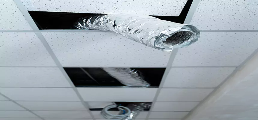 Our Air Duct Pet Hair Removal Services in Gardner, MA