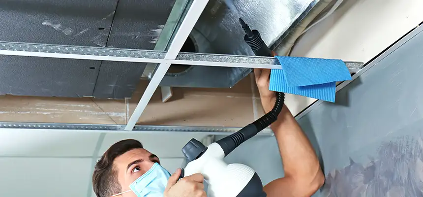 Our Air Duct Rodent Removal Services in Gardner, MA