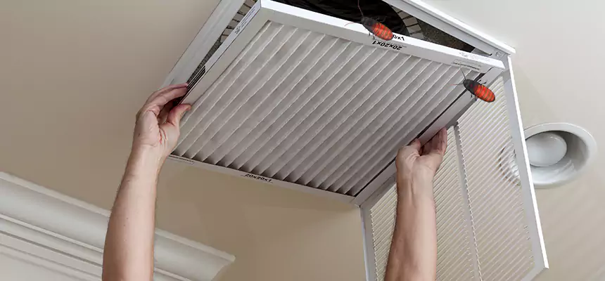Our Insect Removal from Air Ducts Services in Gardner, MA