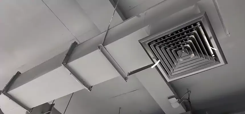 Our Pest Removal From Ducts Services in Gardner, MA