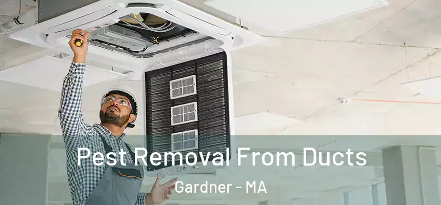 Pest Removal From Ducts Gardner - MA