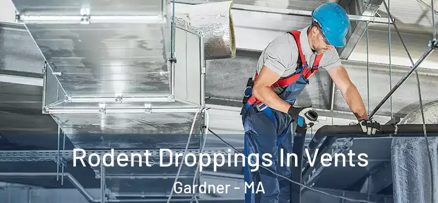  Rodent Droppings In Vents Gardner - MA