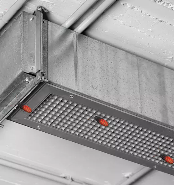 About Air Duct Cockroach Removal in Gardner, MA