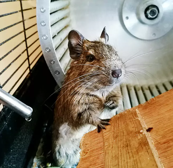 Why Homeowners & Businesses Trust Us Gardner, MA?